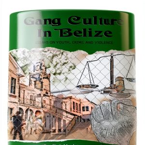 Amazon Kindle Edition Children's Law & Crime Book 197 Pages-0