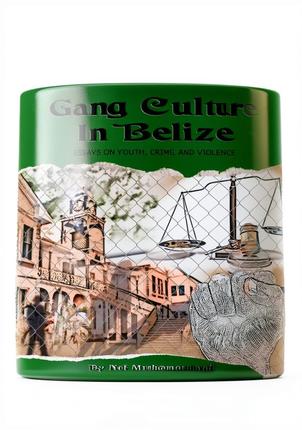 Amazon Kindle Edition Children's Law & Crime Book 197 Pages-0