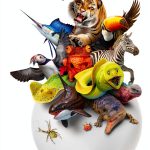 Veterinary Encyclopedia Spanish DK Children Kindle eBook 290 Pages-0