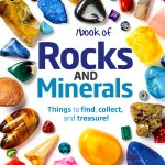 DK Children Earth Science Kids Book Rocks & Minerals Exploration Ages-0