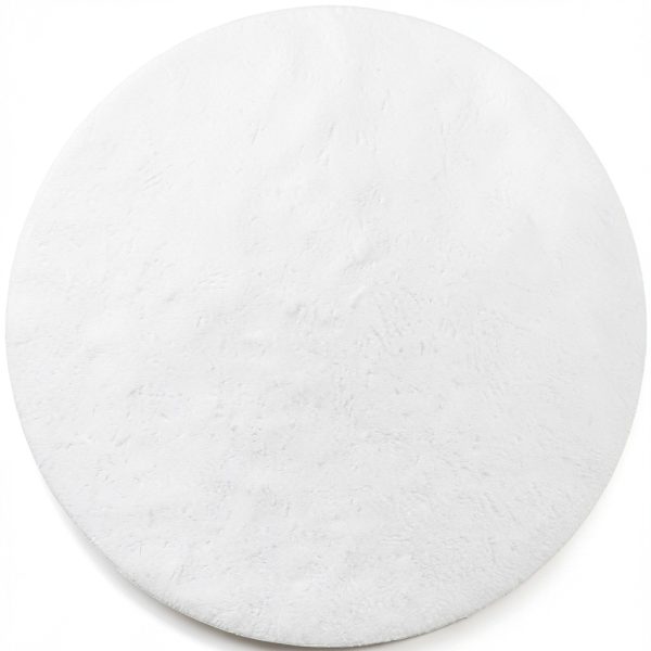 Omicron 135047 Borosilicate Glass Fiber Filter 0.2 Micron 47mm-1