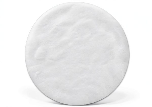 Millipore AP4004700 Glass Fiber Filter without Binder for Prefiltration and Contamination Analysis, 0.7 Micron, 6mL/min x sq cm Water Flow Rate, AP40, 47mm Diameter (Pack of 100)-0