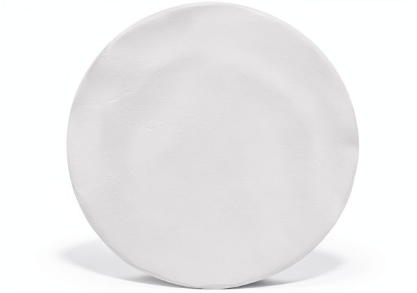 Ahlstrom 1610-0550 Glass Filter Paper 1.1µm Flow 5.5cm (Box of 100)-0