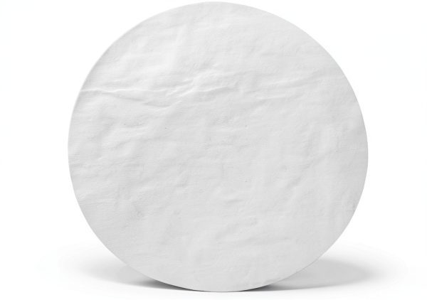 Whatman 1825-025 Glass Microfiber Filter 0.7µm GF/F 2.5cm Pack of 100-0