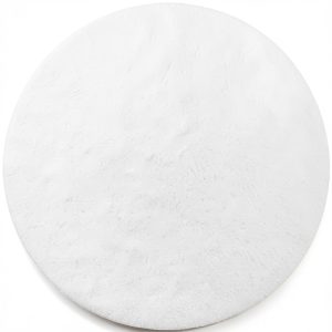 Omicron 134047 Glass Fiber Binder-Free Filter 0.7µm 47mm 100pcs-0