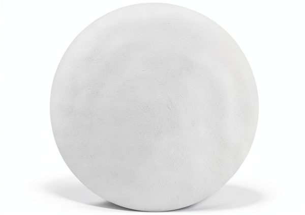 Omicron 133047 Borosilicate Glass Fiber Filter 1.2um 47mm 100pcs-1