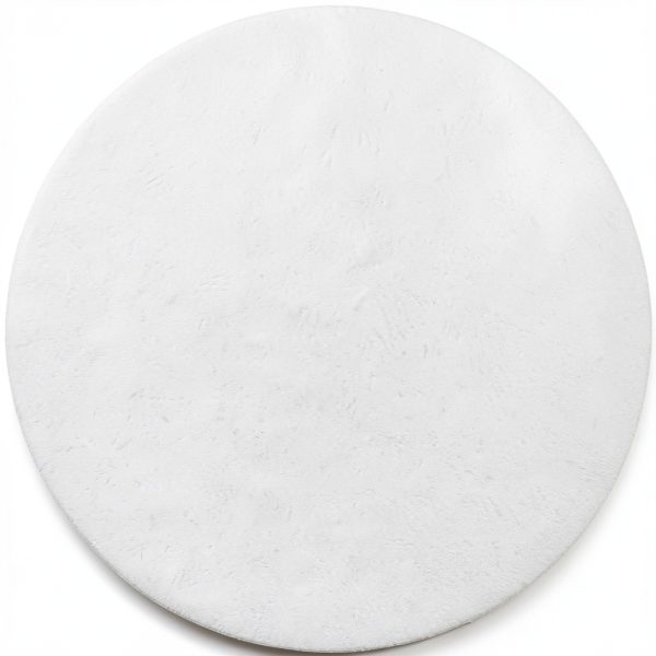 Omicron 136047 Borosilicate Glass Fiber Filter 0.45µm 47mm Binder Free-1